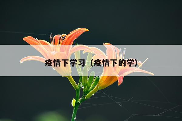 疫情下学习（疫情下的学）