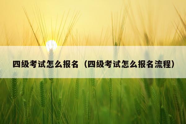 四级考试怎么报名（四级考试怎么报名流程）