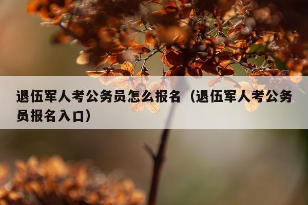 退伍军人考公务员怎么报名（退伍军人考公务员报名入口）