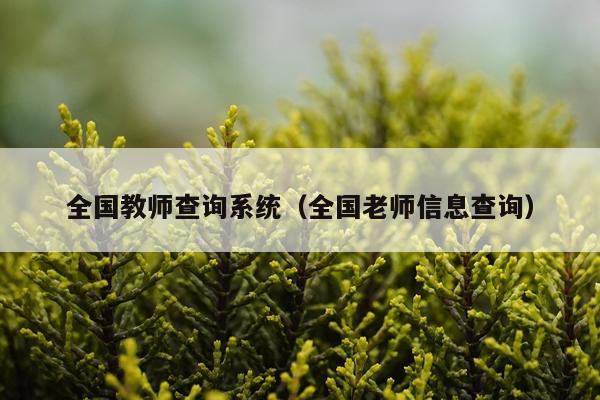 全国教师查询系统（全国老师信息查询）