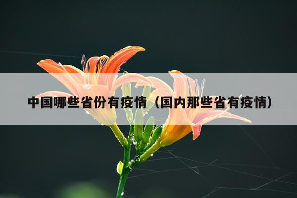 中国哪些省份有疫情（国内那些省有疫情）