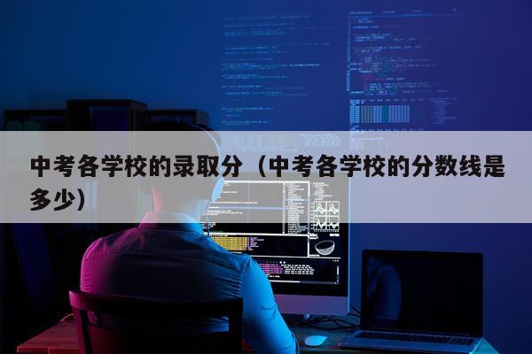 中考各学校的录取分（中考各学校的分数线是多少）