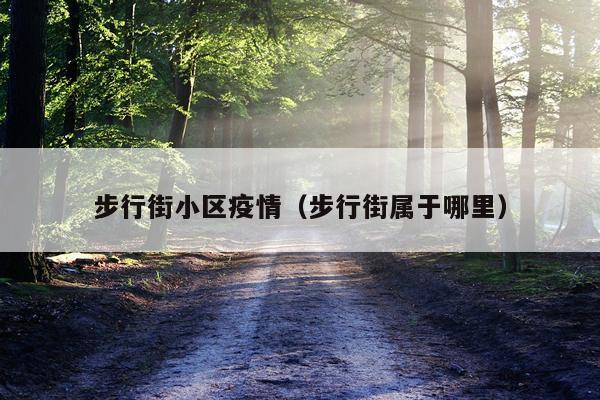 步行街小区疫情（步行街属于哪里）