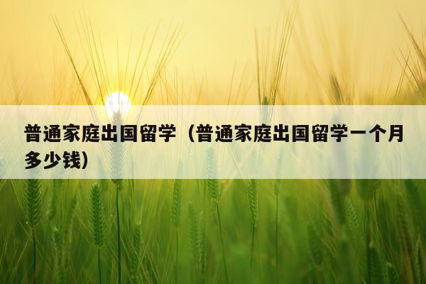 普通家庭出国留学（普通家庭出国留学一个月多少钱）