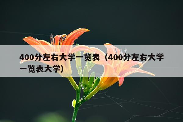 400分左右大学一览表（400分左右大学一览表大学）