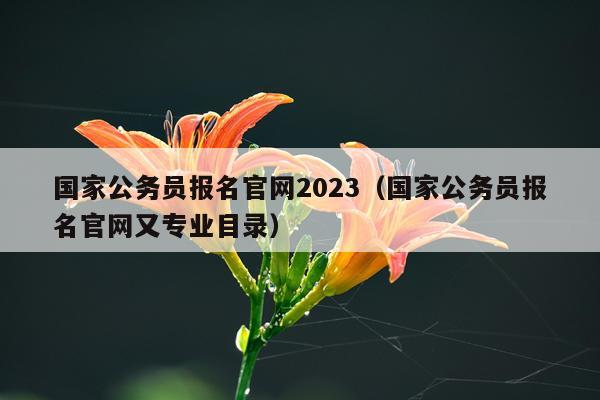 国家公务员报名官网2023（国家公务员报名官网又专业目录）