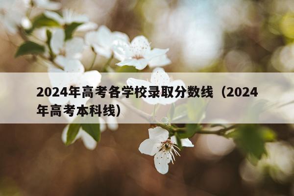 2024年高考各学校录取分数线（2024年高考本科线）