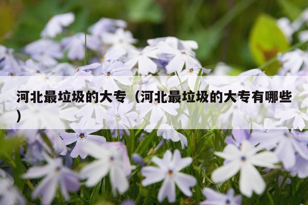 河北最垃圾的大专（河北最垃圾的大专有哪些）