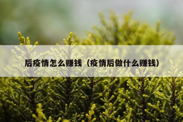 后疫情怎么赚钱（疫情后做什么赚钱）