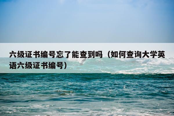 六级证书编号忘了能查到吗（如何查询大学英语六级证书编号）