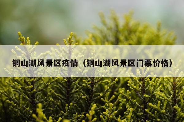 铜山湖风景区疫情（铜山湖风景区门票价格）