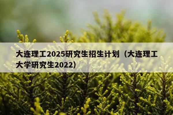 大连理工2025研究生招生计划(大连理工大学研究生2022)