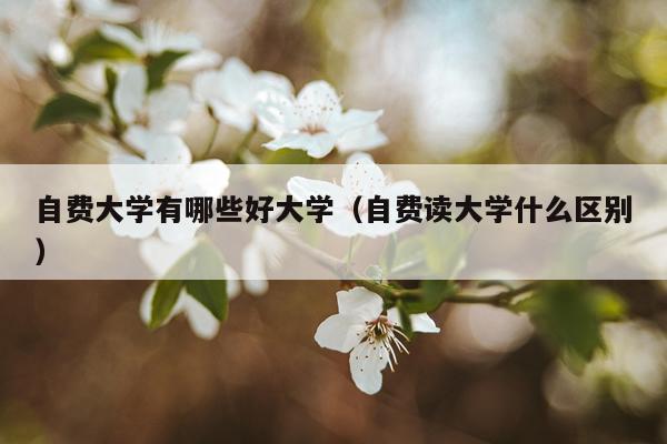 自费大学有哪些好大学(自费读大学什么区别)