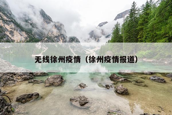 无线徐州疫情(徐州疫情报道)