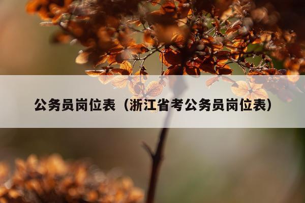 公务员岗位表(浙江省考公务员岗位表)